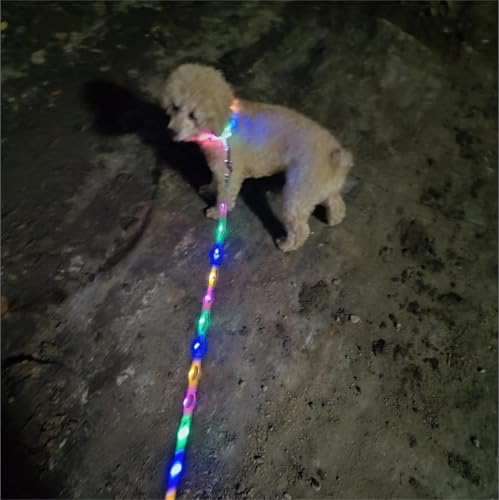 Light up Dog Leash USB Rechargeable for Small Medium Large Dogs (Bohemian Blue / L59in/W1in)