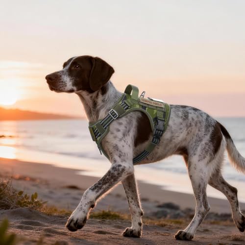 Tactical Dog Harness Medium Sized (M(chest:20.1"-33.9",neck:17.7"-22.3",back:7.5") / Green Camo)