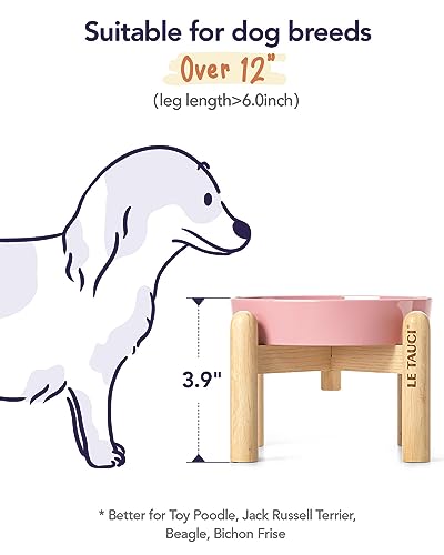 Ceramic Slow Feed Dog Bowls (Pink Bloom+Stand / S-0.6 Cups)