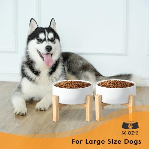 Ceramic Elevated Dog Bowls 2 Pack (Large - 7.6 CUPS*2 / White)