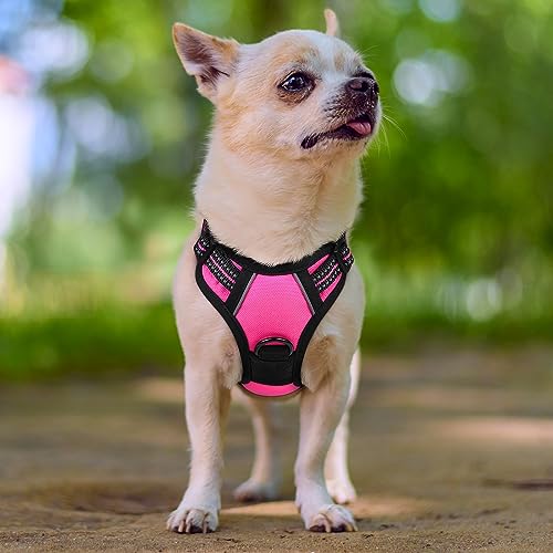Dog Harness No Pull with 2 Leash Clips (X-Small / Hot Pink)