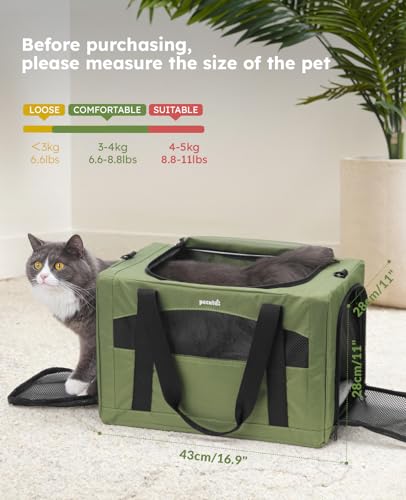 Cat Carrier Stable (Green Regular / 16.9"L x 11.0"W x 11.0"H)