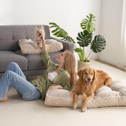 XXL Dog Bed 47x29 Inch (Beige / 47" x 29"x 4")