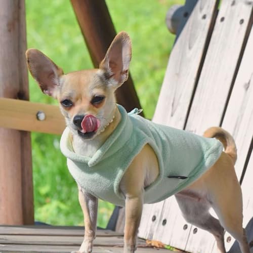 Dog Fleece Sweater with Leash Ring (M (6-10lbs) / Mint Green)