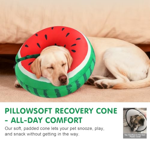 Dog Cone Collar Alternative After Surgery (Watermelon / L(Neck:16"-18"))