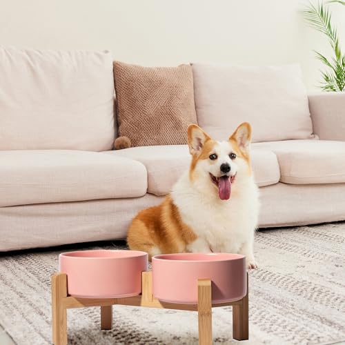 Elevated Ceramic Dog Bowl (Pink / Medium)