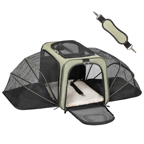 Large Double Expandable Cat Carrier for Large Cats and Small Dogs (19.0"L x 12.0"W x 12.0"H / Green)