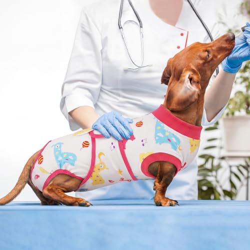 Dog Recovery Suit (Dreamy Pink / X-Small)