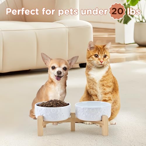 Elevated Dog Bowls Ceramic (5.1 in - 1.7 cups / White - Skull)