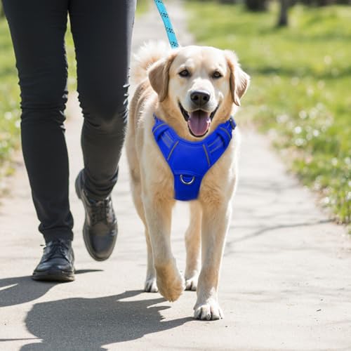 Dog Harness for Large Dogs No Pull Dog Vest ID Tag Pocket (Sapphire Blue / Large)