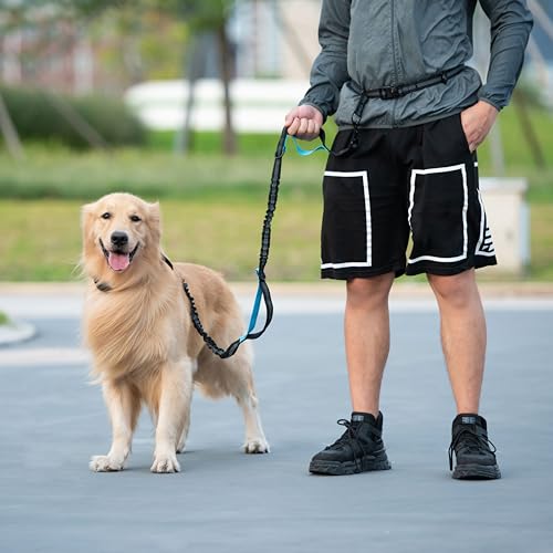 Hands Free Dog Leash with Zipper Pouch (Grey / Large)