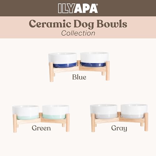 Elevated Ceramic Dog Bowls (Blue)