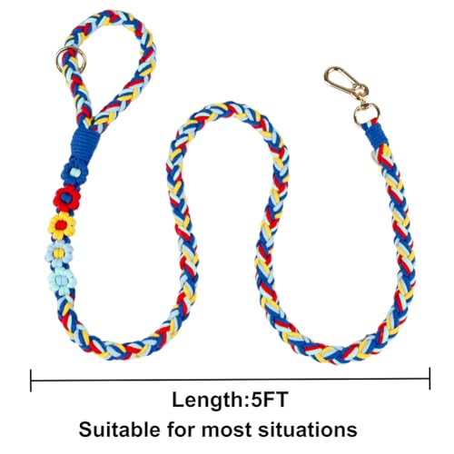 5FT Braided Cotton Rope Leash for Small (Colorful Carousel)
