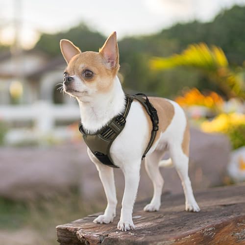 Dog Harness for Small Dogs (X-Small / Brown)