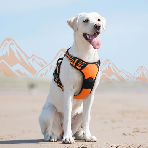 Dog Harness for Large Dogs (Large / Orange)