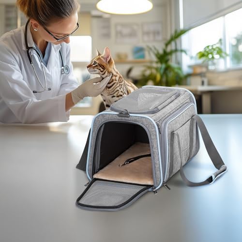 Small Double Expandable Cat Carrier for Kittens and Air Travel (16.0"L x 10.0"W x 9.0"H / Light Grey)