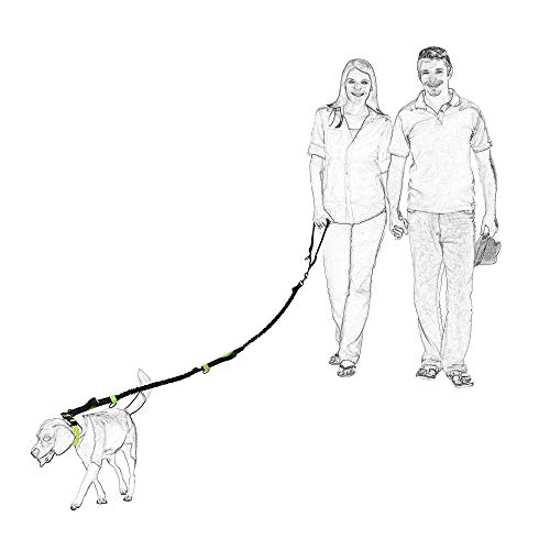 Hands Free Leash (Black Blue / 7FT Hands Free)