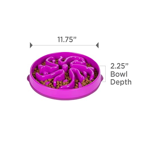 Fun Feeder Slo Bowl (Purple / Large)