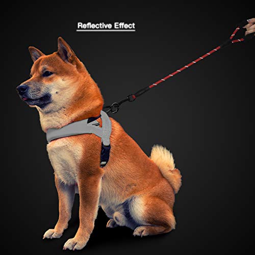 Nylon Short Traffic Leash with Padded Handle (Rope-Black)