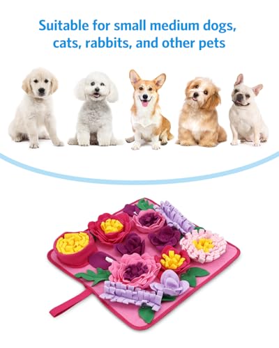 Snuffle Mat for Dogs (Red)