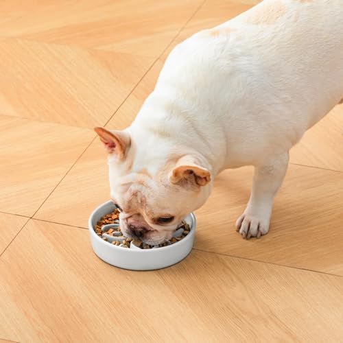 Ceramic Slow Feeder Dog Bowls (S-0.6 Cups / Grayish Cyan)