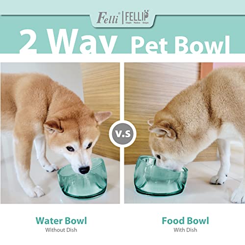 Pet Oblik Acrylic Raised Dog Food Water Bowl Stainless Steel Slanted Oval Dish for Short Leg Puppy & Small Medium Pet (Classic / 1.5 Cups Oval Dish)