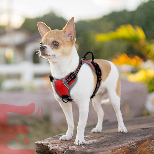 Dog Harness for Small Dogs (X-Small / Red)