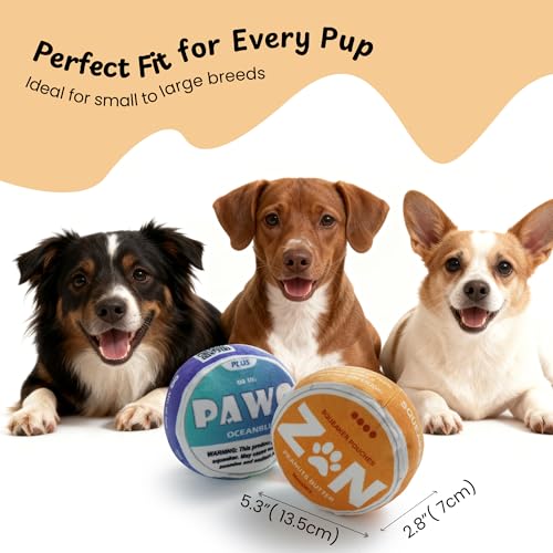 PAWO Funny Cool Dog Toy with Squeaker & Crinkle (ZN Dog Toy)