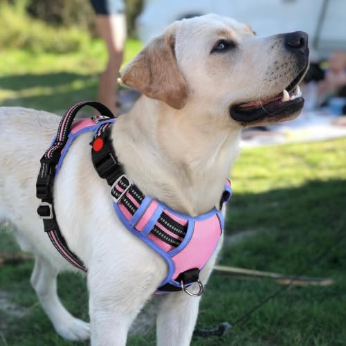 Dog Harness for Large (Light Pink & Blue / Large)