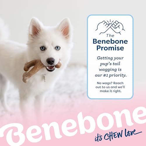 Puppy Wishbone Dog Chew Toy for Gentle Chewers (Puppy Medium)