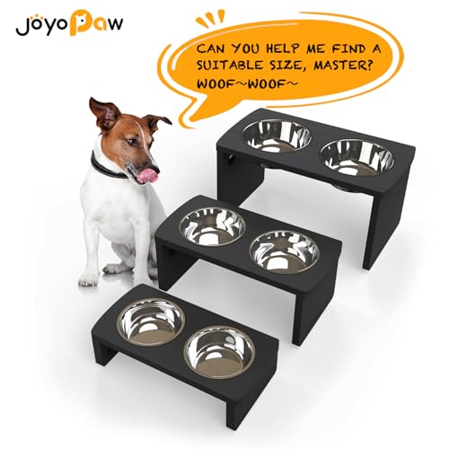 Elevated Dog Bowls (Black / Medium: 7'' Tall-40oz Bowl)