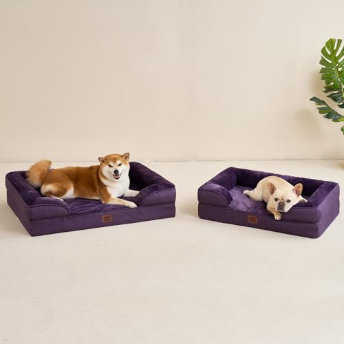 Orthopedic Dog Beds Large Sized Dog (Purple / 35.0"l X 22.0"w X 6.5"th)