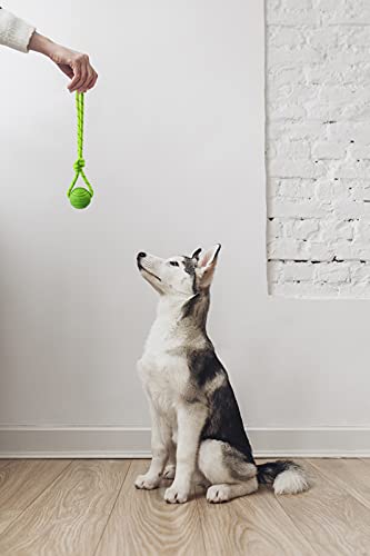Dog Training Ball on A Rope Rubber Dog Rope Toys Ball with Handle for Tug of War K9 Training Rewards for Belgian Malinois Gifts (Four colors / 5cm (with rope))