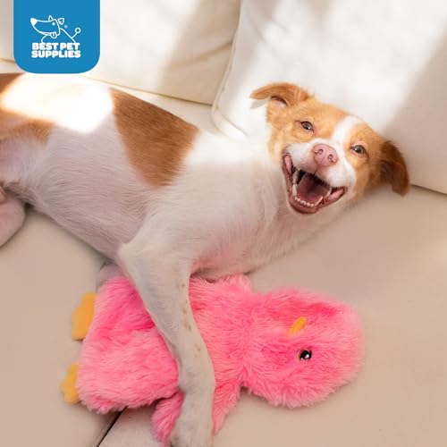 Interactive Squeaky Dog Toy (Crinkle Chicken (Pink) / Large)