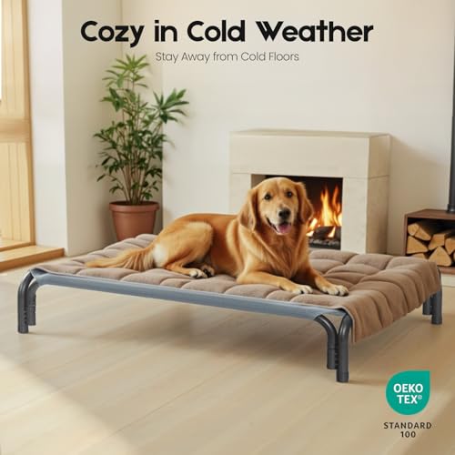 Elevated Dog Bed Raised Outdoor Dog Cot for Medium Dogs (M-35.4"L×25.6"W×7.9"Th / Grey)