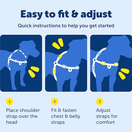 Easy Walk Deluxe Dog Harness (Medium/Large / Steel)