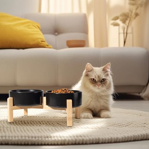 Elevated Ceramic Dog Bowl (Black / Small)