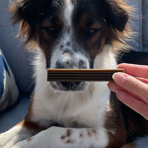 Brushy Sticks Dog Dental Treats (6 Ounce (Pack of 2))