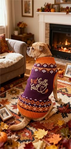 Hello Fall Leaves Thanksgiving Dog Sweater (Large / Hello Fall Leaves)