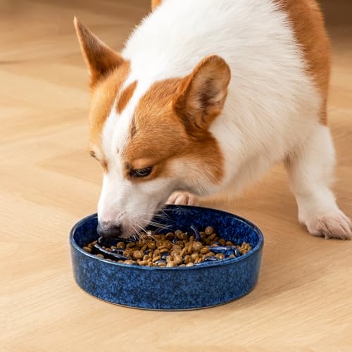 Ceramic Slow Feeder Dog Bowls (M-1.5 Cups / Blue)