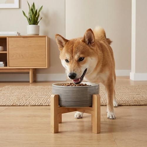 Elevated Ceramic Dog Bowl with Bamboo Stand (White Gray / 3.6Cup)