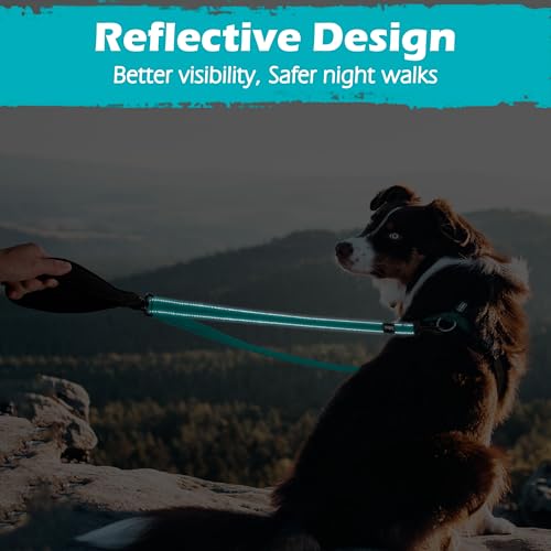 Two Point Control Dog Leash (Turquoise)