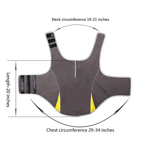 Dog Anxiety Jacket (Gery / XL (Pack of 1))