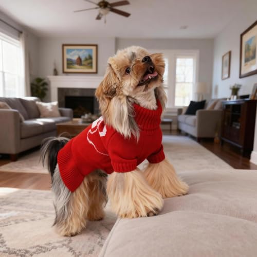 Bowknot Dog Sweater Dress for Small Dogs Girl (X-Large (21-28lbs) / Red)