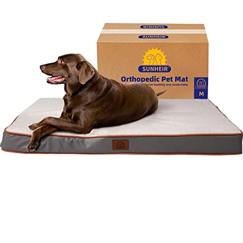 Washable Orthopedic Medium Dog Bed (Light Grey / 30.0"L x 20.0"W x 3.0"Th)