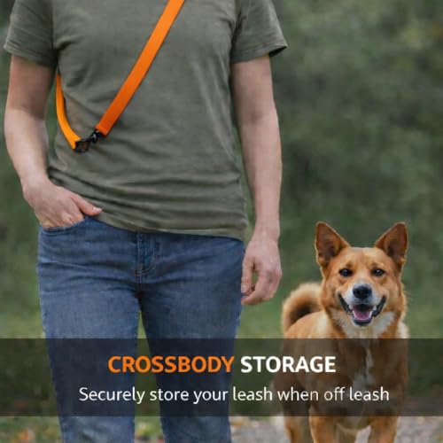 SparkDog Daily Dog Training Leash (Daily-Orange / L 4' * W 3/4")