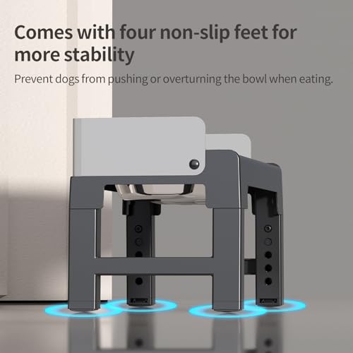 Elevated Dog Bowls for Medium and Large Dogs (2 Stainless Steel Bowls / Grey)