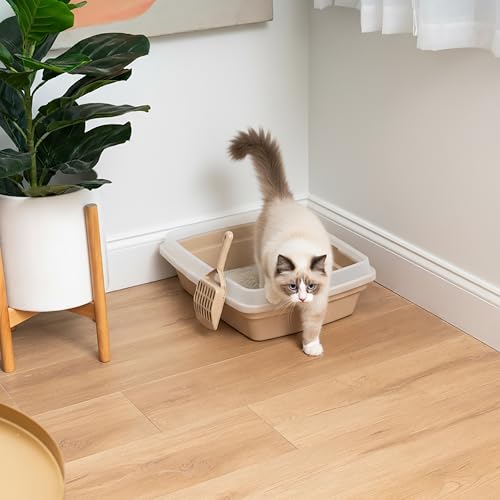 Large Cat Litter Box (Open Top / Beige)