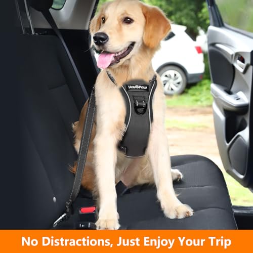 Dog Car Belt Dog Harness Reflective Strip & Adjustable Buckle (Carbon Black / XL (Chest: 24.4-34.7", Neck: 18.9-29.1"))