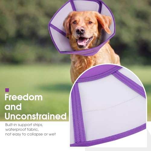 Dog Recovery Cone Waterproof Plastic Elizabethan Collar Purple M (Purple / Medium)